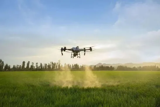 A large agricultural drone applies spray while flying low over a green crop field