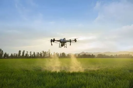 DJI Agras T50 agricultural spray drone applying a variable-rate prescription over a field
