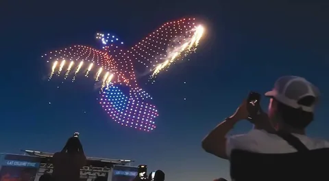 Illuminated drones form a bird shape in the night sky, pictured on Sky Knight’s light-show service page